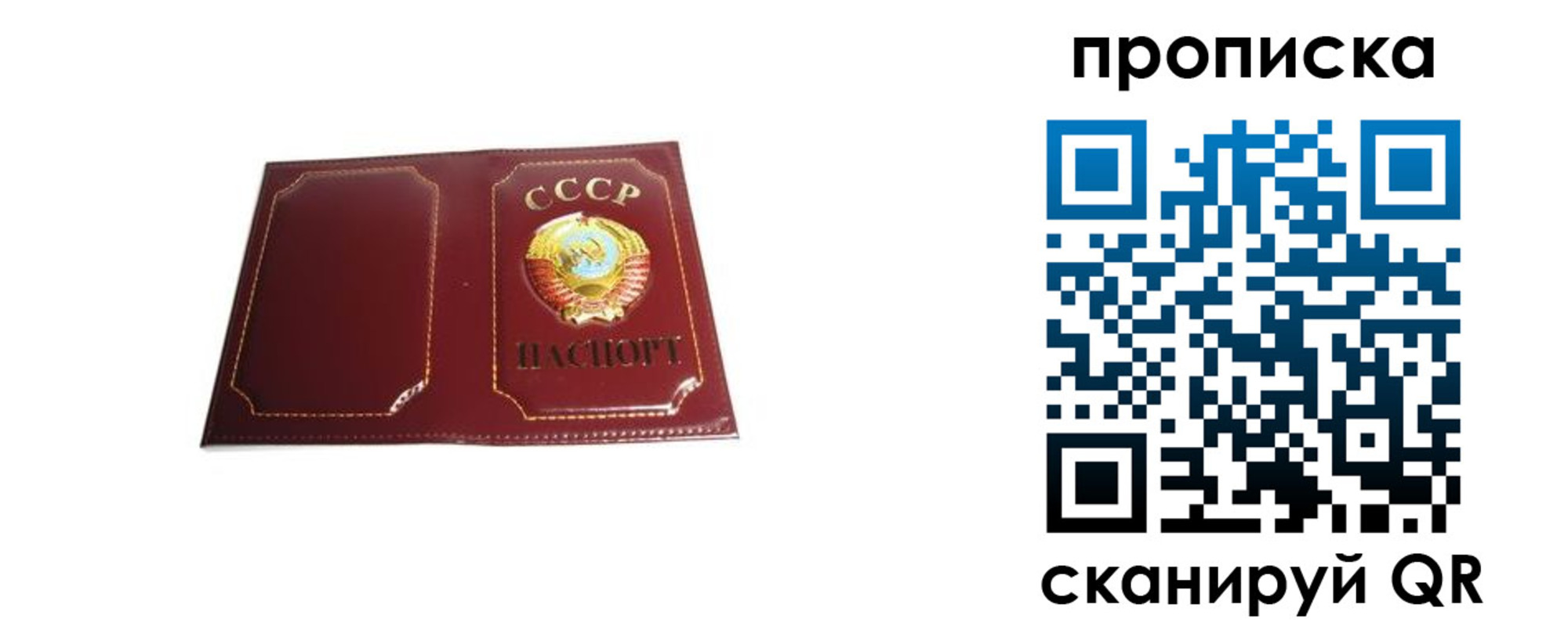 прописка гарантия в Новомичуринске